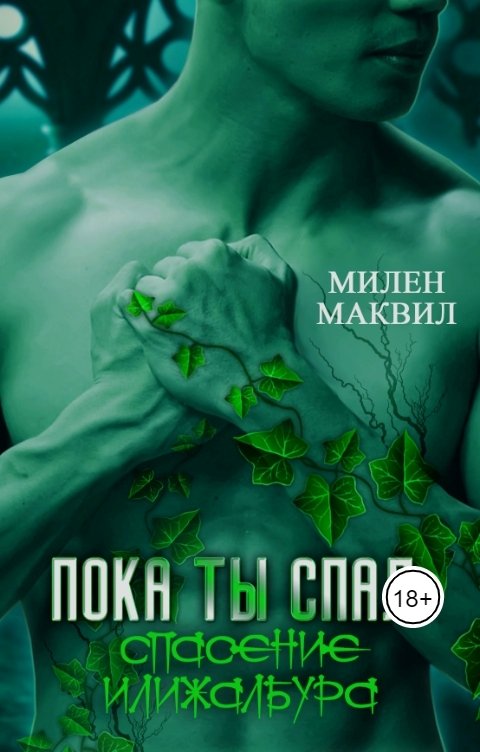 Обложка книги Милен Маквил Пока ты спал: Спасение Илижалбура.