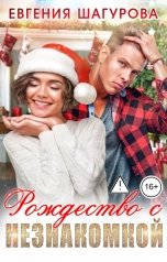 обложка книги Евгения Шагурова "Рождество с незнакомкой"