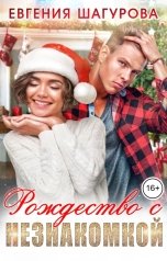 обложка книги Евгения Шагурова "Рождество с незнакомкой"