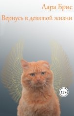 обложка книги Лара Брис "Вернусь в девятой жизни"