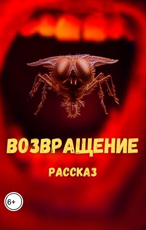 Обложка книги Роман Дадаров Возвращение