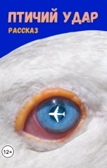 обложка книги Роман Дадаров "Птичий удар"