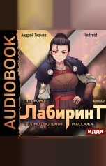 обложка книги Findroid "Я покорю Лабиринт с помощью техник массажа. Книга 5"