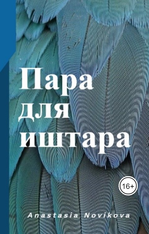 Обложка книги Анастасия Новикова Пара для иштара