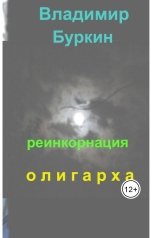 обложка книги Владимир Буркин "реинкорнация олигарха"