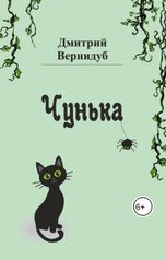 обложка книги Дмитрий Вернидуб "Чунька"