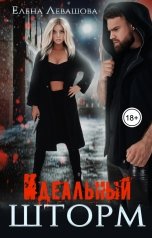 обложка книги Елена Левашова "Идеальный шторм"