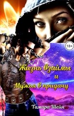 обложка книги Тамара Шейн "Жизнь взаймы и Мужья в придачу"