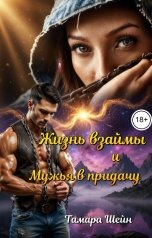 обложка книги Тамара Шейн "Жизнь взаймы и Мужья в придачу"