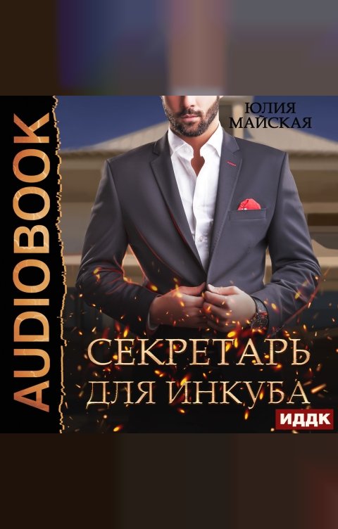 Обложка книги ИДДК Секретарь для инкуба