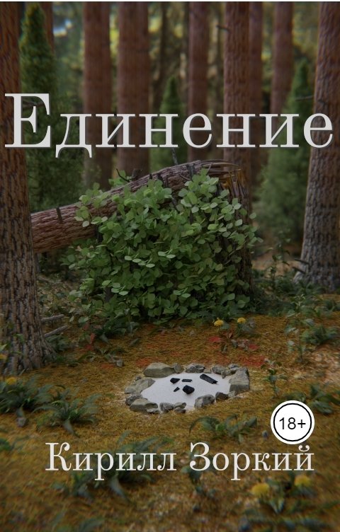 Обложка книги Кирилл Зоркий Единение