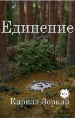 обложка книги Кирилл Зоркий "Единение"