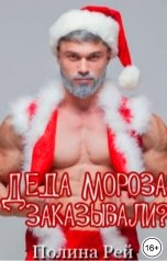 обложка книги Полина Рей "Деда Мороза заказывали?"