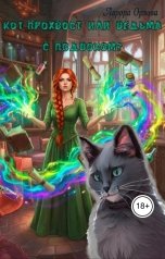 обложка книги Аврора Орлова "Кот-прохвост или ведьма с подвохом!"