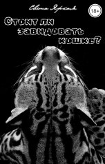 обложка книги Света Яркая "Стоит ли завидовать кошке?"
