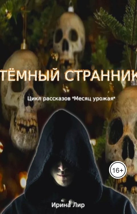 Обложка книги Ирина Лир Тёмный странник