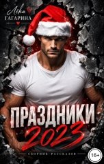 обложка книги Лёка Гагарина "Праздники 2023"
