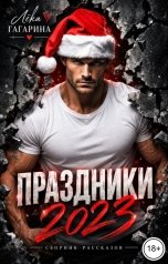 обложка книги Лёка Гагарина "Праздники 2023"