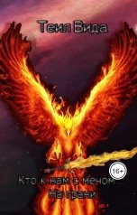 обложка книги Теил Вида "Кто к нам с мечом 1 На грани"