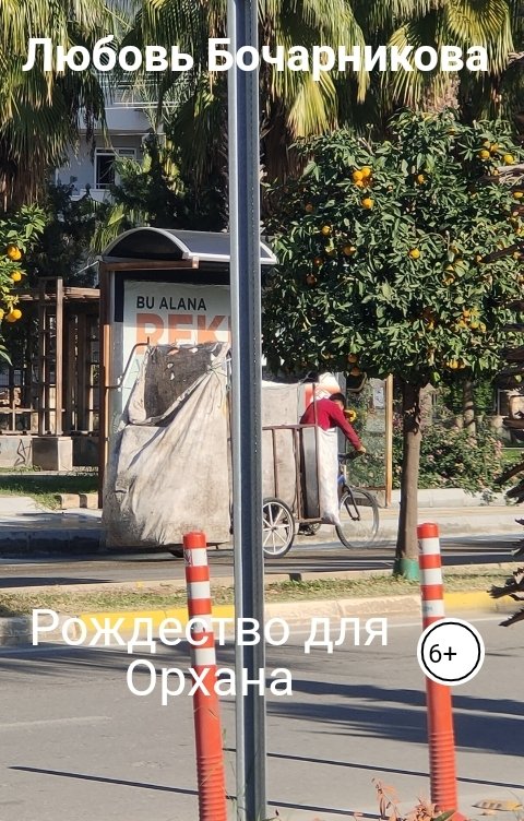 Обложка книги Любовь Бочарникова Рождество для Орхана