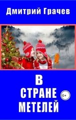 обложка книги Дмитрий Грачев "В стране Метелей"