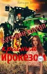 обложка книги Наталья Шеховцова  "Катькин идеал с красным ирокезом"