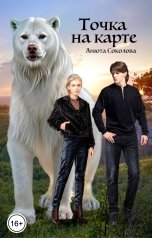 обложка книги Анюта Соколова "Точка на карте"