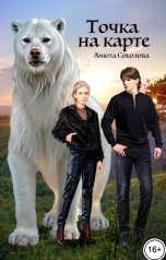 обложка книги Анюта Соколова "Точка на карте"