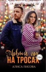 обложка книги Алиса Лисова "Новый год на тросах"