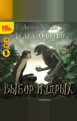 обложка книги Андрей Рымин "Выбор мудрых"