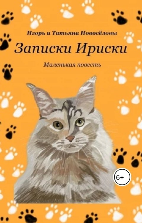 Обложка книги Игорь Новосёлов Записки Ириски