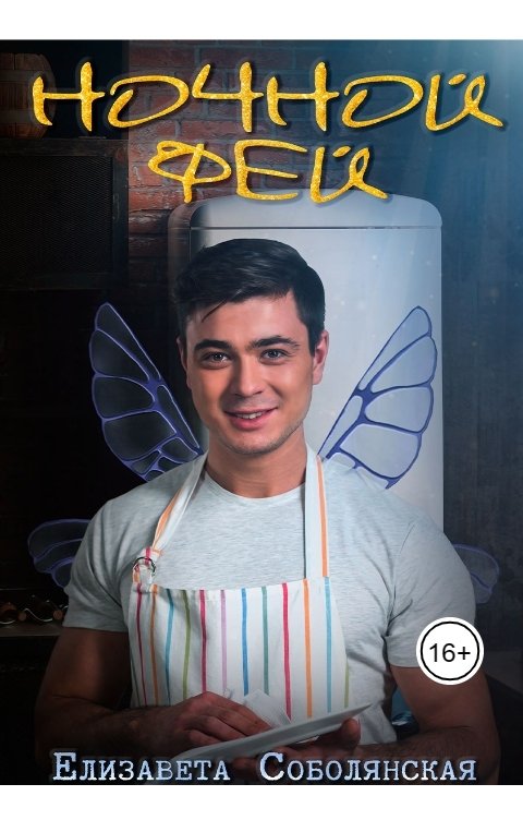 Обложка книги Елизавета Соболянская Ночной фей