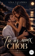 обложка книги Лёка Гагарина "Ты из моих снов Том 2"