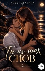 обложка книги Лёка Гагарина "Ты из моих снов Том 2"
