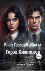 обложка книги Голубина Елена "Детективное агентство Лаймы Райс"