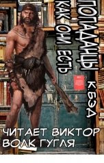 обложка книги Кристиан Бэд "Попаданцы как они есть"