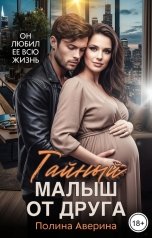 обложка книги Полина Аверина "Тайный малыш от друга"
