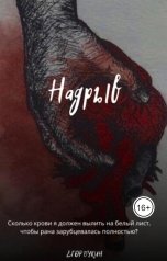 обложка книги Егор Букин "Надрыв"