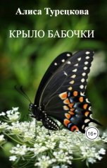 обложка книги Алиса Турецкова "Крыло бабочки"