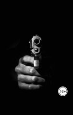 обложка книги Vladimir Sedinkin "Крановщик: расставить всё на свои места"