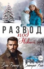 обложка книги Виктория Райн, Вика Риттер "Развод под новый год"