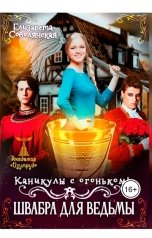 обложка книги Елизавета Соболянская "Каникулы с огоньком. Швабра для ведьмы"