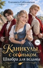 обложка книги Елизавета Соболянская "Каникулы с огоньком. Швабра для ведьмы"