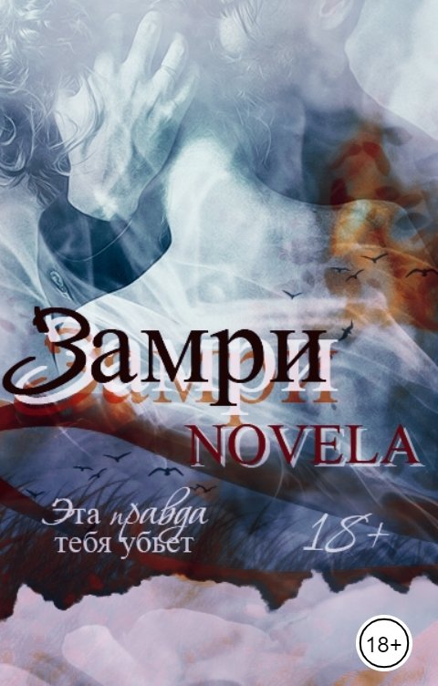 Обложка книги Novela Замри