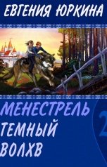 обложка книги Женя Юркина "Темный волхв"