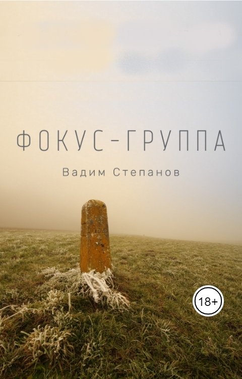 Обложка книги Вадим Степанов Фокус-группа