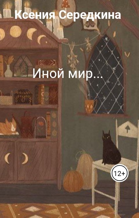 Обложка книги Ксения Середкина Иной мир...