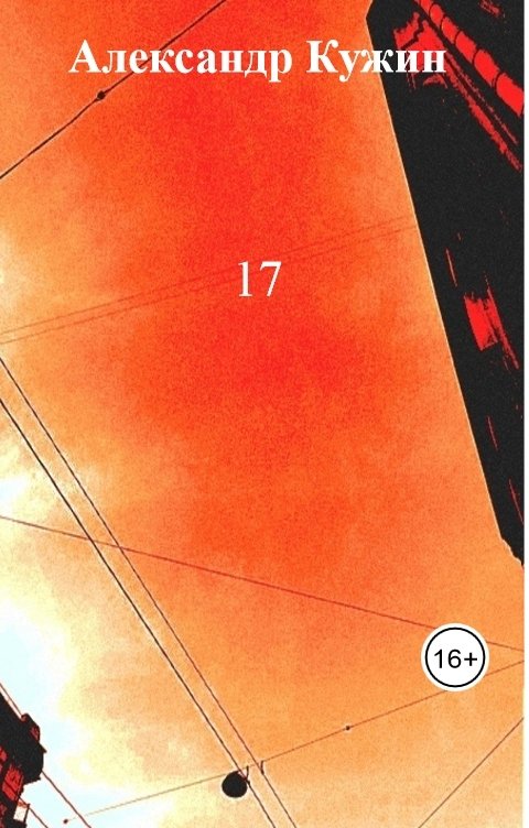 Обложка книги Александр Кужин 17