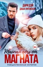обложка книги Даша Литовская, Дари Дэй "Тайная дочь от магната. Рождественская история"