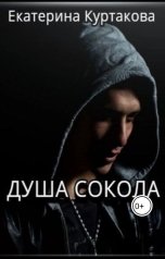 обложка книги Екатерина Куртакова "Душа Сокола"
